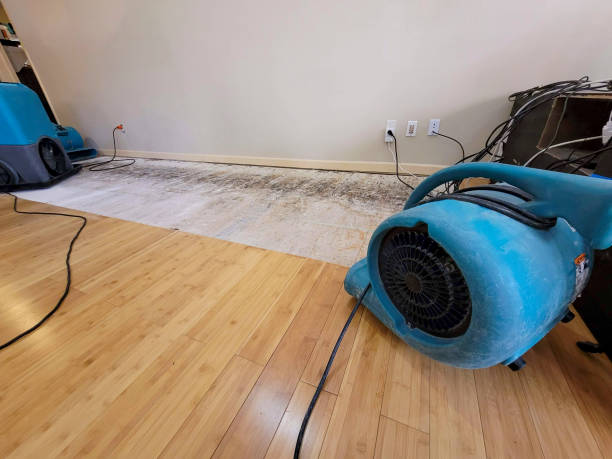 Professional Water Extraction technician working in Nicasio, CA